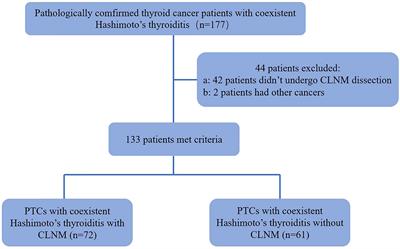 Sonographic Characteristics of Papillary Thyroid Carcinoma With Coexistent Hashimoto’s Thyroiditis in the Preoperative Prediction of Central Lymph Node Metastasis